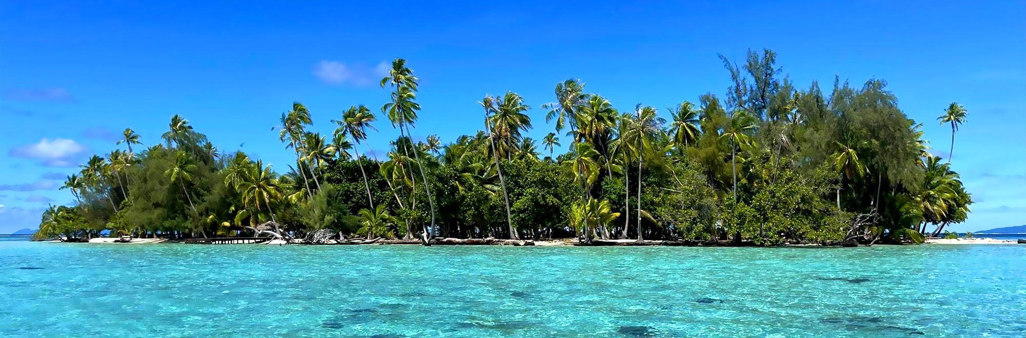 Pension Hibiscus de Taha'a